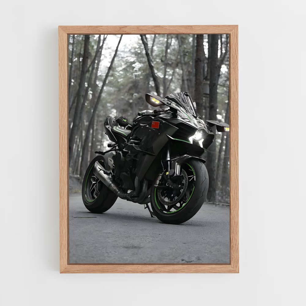 Poster Ninja élégant hr (vue 4)